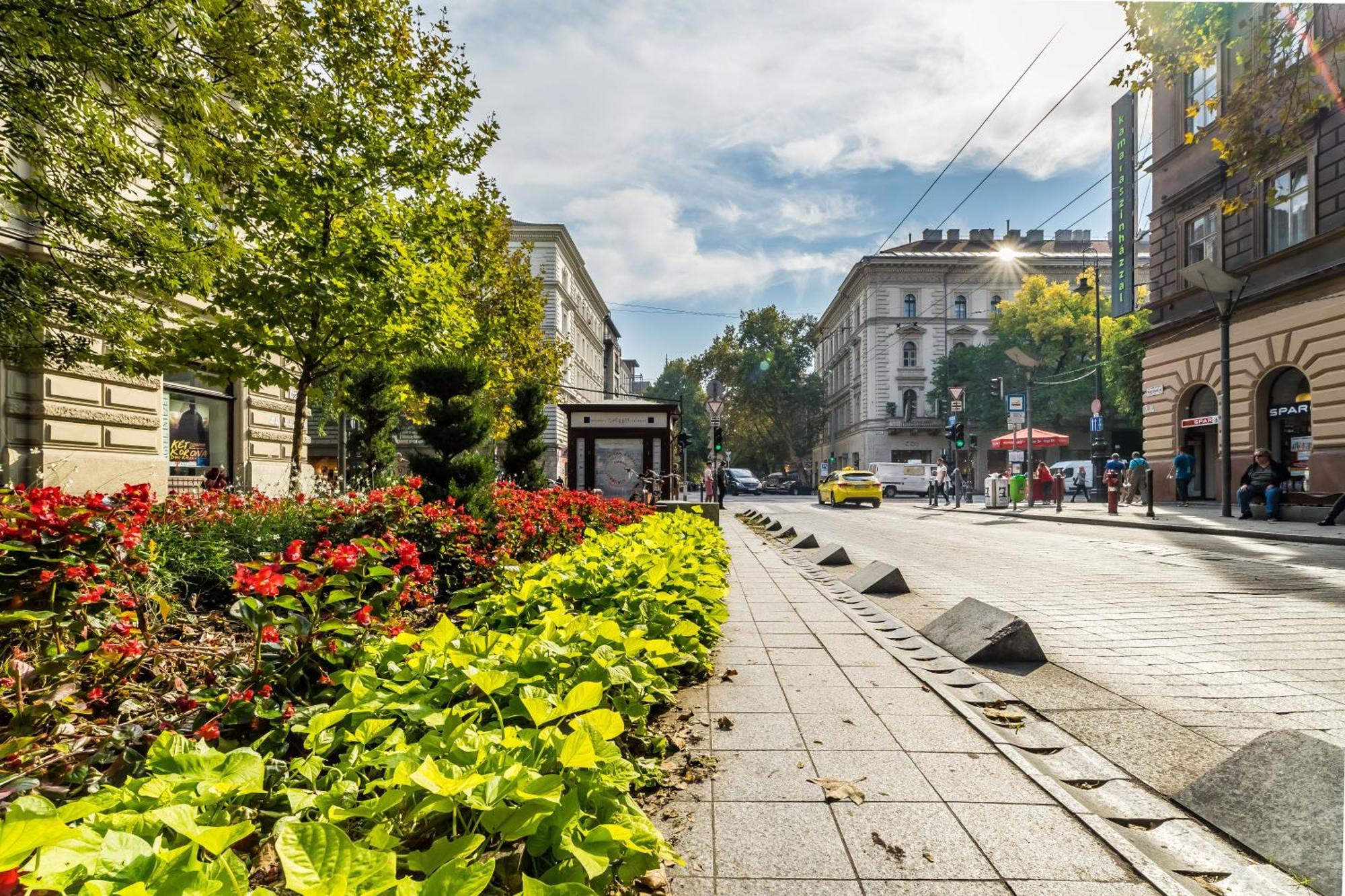 Cozy Little Flat In The City Center Budapest Ngoại thất bức ảnh